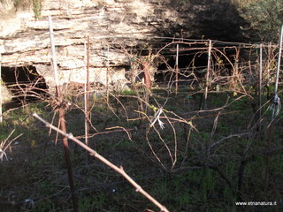 stellaccio20-11-2016 15-45-58